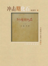 Image of 冲击期化石-CHONGJI QI HUA SHI