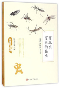 Image of 夏三虫 夏天的昆虫 - Xià sān chóng xiàtiān de kūnchóng