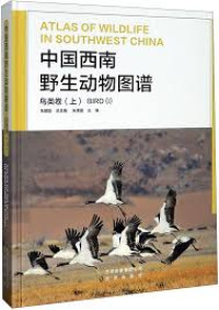 Image of 中国西南野生动物图谱 - Zhōngguó xīnán yěshēng dòngwù túpǔ